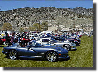 Vipers as far as the eye can see.