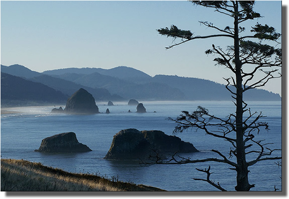 Cannon beach - one of Oregons many scenic beaches.